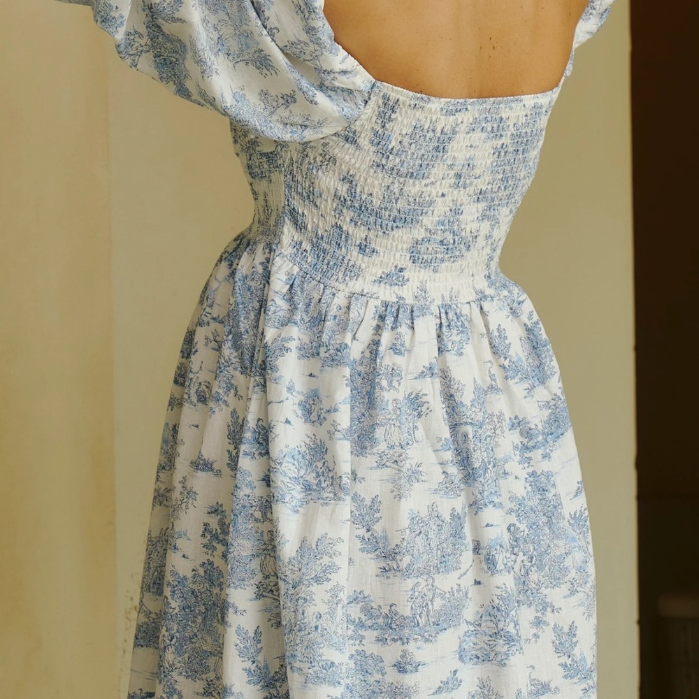Nothing Fits But The Linen Dress - Picture 4 of 4